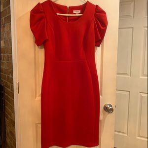 Calvin Klein Dress 🌹